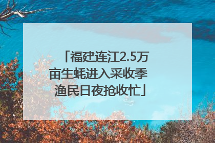 福建连江2.5万亩生蚝进入采收季 渔民日夜抢收忙