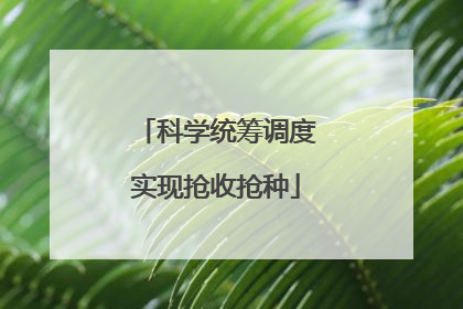 科学统筹调度实现抢收抢种