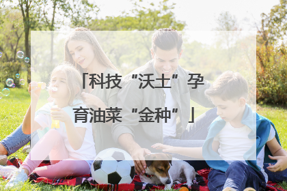 科技“沃土”孕育油菜“金种”
