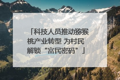 科技人员推动猕猴桃产业转型 为村民解锁“富民密码”