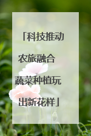 科技推动农旅融合 蔬菜种植玩出新花样