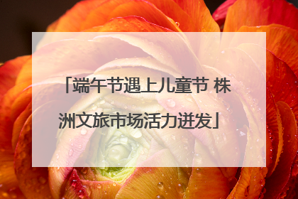 端午节遇上儿童节 株洲文旅市场活力迸发