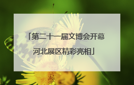 第二十一届文博会开幕 河北展区精彩亮相