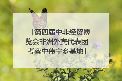 第四届中非经贸博览会非洲外宾代表团考察中伟宁乡基地