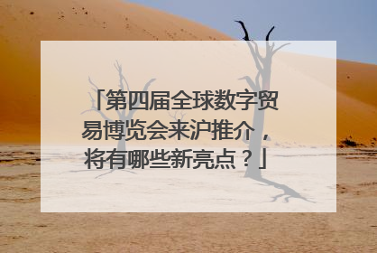 第四届全球数字贸易博览会来沪推介，将有哪些新亮点？