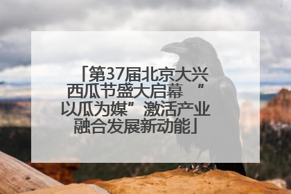 第37届北京大兴西瓜节盛大启幕 “以瓜为媒”激活产业融合发展新动能
