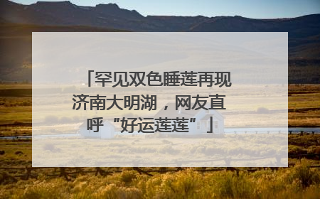 罕见双色睡莲再现济南大明湖，网友直呼“好运莲莲”