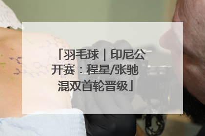 羽毛球｜印尼公开赛：程星/张驰混双首轮晋级
