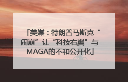 美媒：特朗普马斯克“闹崩”让“科技右翼”与MAGA的不和公开化