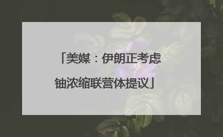 美媒：伊朗正考虑铀浓缩联营体提议