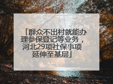 群众不出村就能办理参保登记等业务，河北29项社保事项延伸至基层