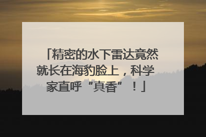 精密的水下雷达竟然就长在海豹脸上，科学家直呼“真香”！