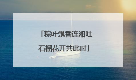 粽叶飘香连湘吐 石榴花开共此时