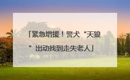 紧急增援！警犬“天狼”出动找到走失老人