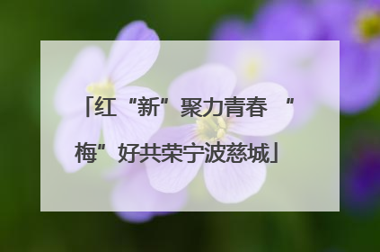 红“新”聚力青春 “梅”好共荣宁波慈城