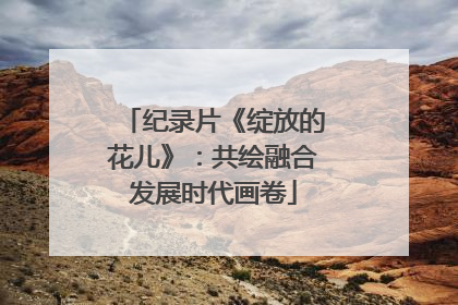 纪录片《绽放的花儿》：共绘融合发展时代画卷