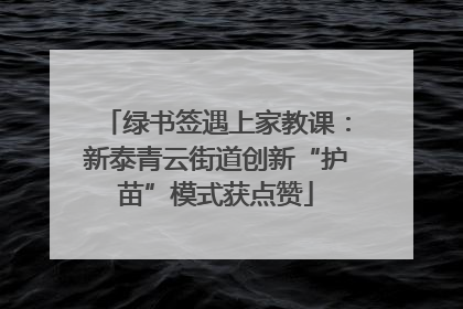 绿书签遇上家教课：新泰青云街道创新“护苗”模式获点赞