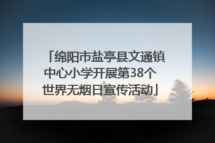 绵阳市盐亭县文通镇中心小学开展第38个世界无烟日宣传活动