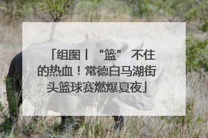 组图丨“篮” 不住的热血！常德白马湖街头篮球赛燃爆夏夜