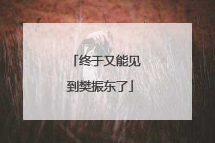 终于又能见到樊振东了