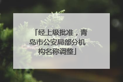 经上级批准，青岛市公安局部分机构名称调整