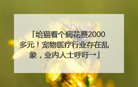 给猫看个病花费2000多元！宠物医疗行业存在乱象，业内人士呼吁→