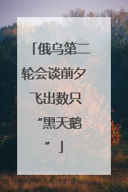 俄乌第二轮会谈前夕 飞出数只 “黑天鹅”