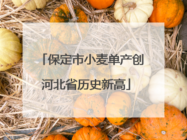 保定市小麦单产创河北省历史新高
