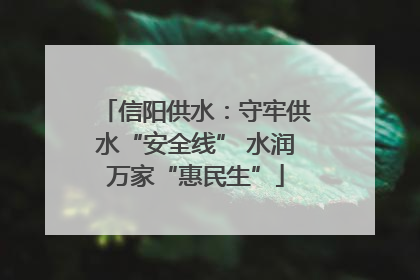 信阳供水：守牢供水“安全线” 水润万家“惠民生”