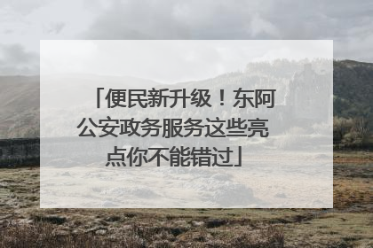 便民新升级！东阿公安政务服务这些亮点你不能错过