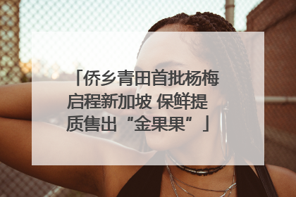 侨乡青田首批杨梅启程新加坡 保鲜提质售出“金果果”