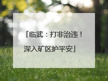 临武：打非治违！深入矿区护平安