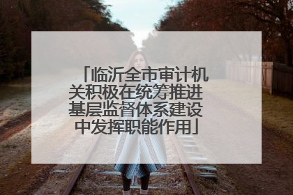临沂全市审计机关积极在统筹推进基层监督体系建设中发挥职能作用