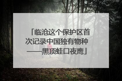 临沧这个保护区首次记录中国独有物种——黑顶蛙口夜鹰