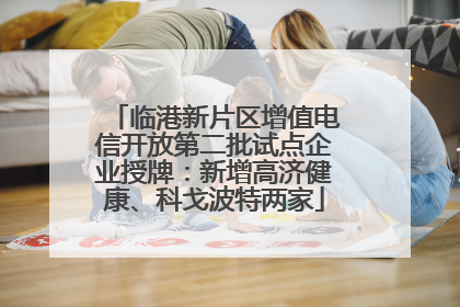 临港新片区增值电信开放第二批试点企业授牌：新增高济健康、科戈波特两家