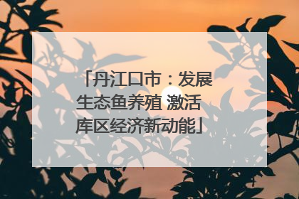 丹江口市：发展生态鱼养殖 激活库区经济新动能