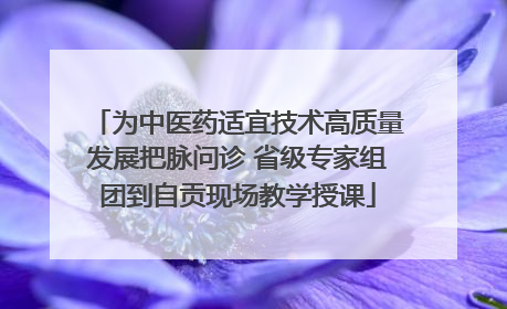 为中医药适宜技术高质量发展把脉问诊 省级专家组团到自贡现场教学授课