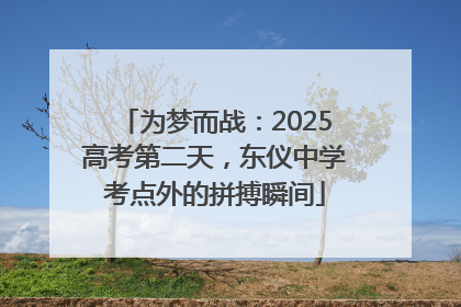 为梦而战：2025高考第二天，东仪中学考点外的拼搏瞬间