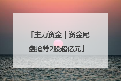 主力资金｜资金尾盘抢筹2股超亿元