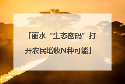 丽水“生态密码”打开农民增收N种可能