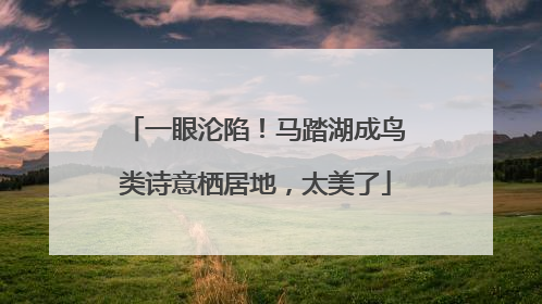 一眼沦陷！马踏湖成鸟类诗意栖居地，太美了