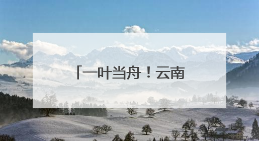 一叶当舟！云南这种神奇植物进入最佳观赏期