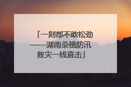 一刻都不敢松劲——湖南桑植防汛救灾一线直击