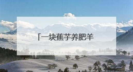 一块蕉芋养肥羊 一朵鲜花富全村