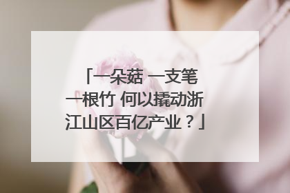 一朵菇 一支笔 一根竹 何以撬动浙江山区百亿产业？