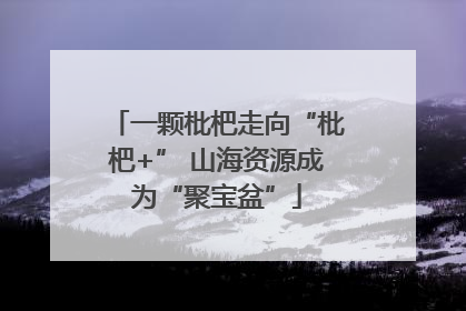 一颗枇杷走向“枇杷+” 山海资源成为“聚宝盆”