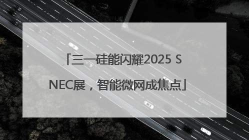 三一硅能闪耀2025 SNEC展，智能微网成焦点