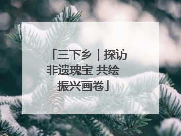 三下乡｜探访非遗瑰宝 共绘振兴画卷