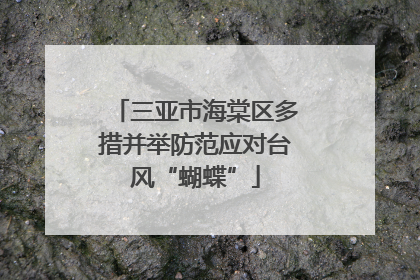 三亚市海棠区多措并举防范应对台风“蝴蝶”