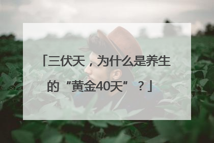 三伏天，为什么是养生的“黄金40天”？